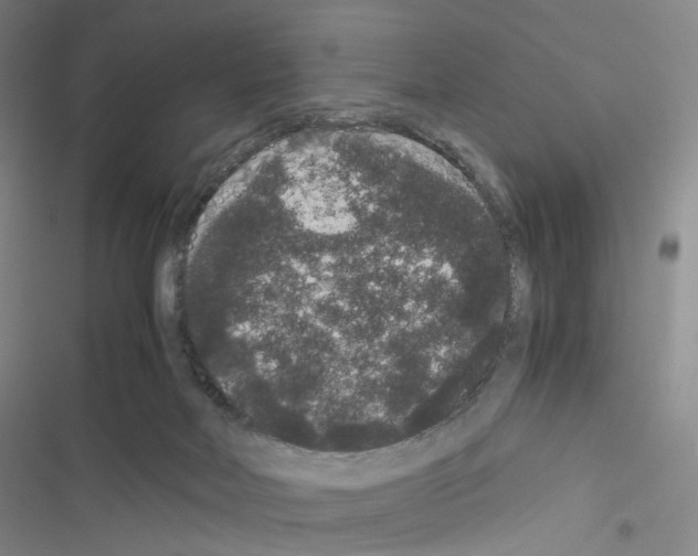 X0000116480026201001201352