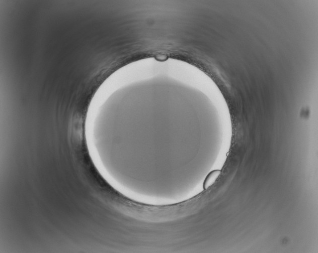 X0000116480027201001201352