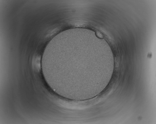 X0000116480028201001201352