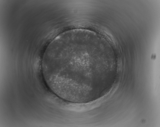 X0000116480029201001201351