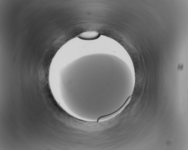 X0000116480031201001201351