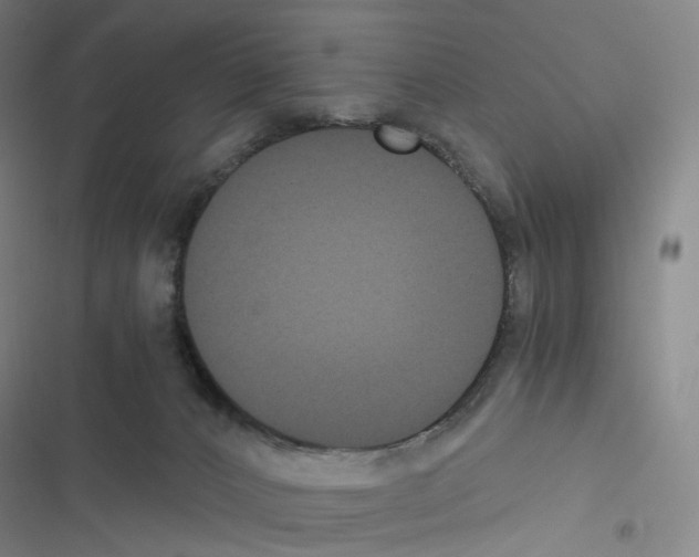 X0000116480032201001201351