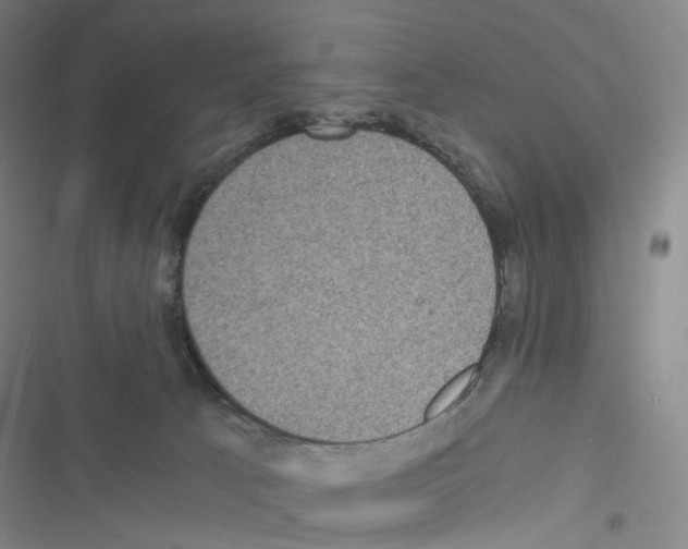 X0000116480033201001201351