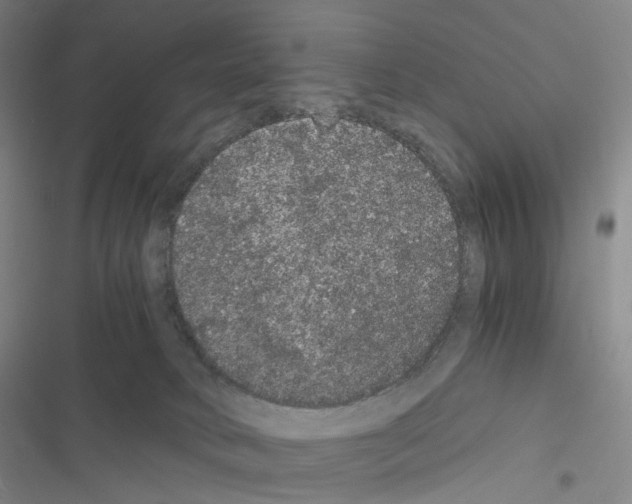 X0000116480034201001201351