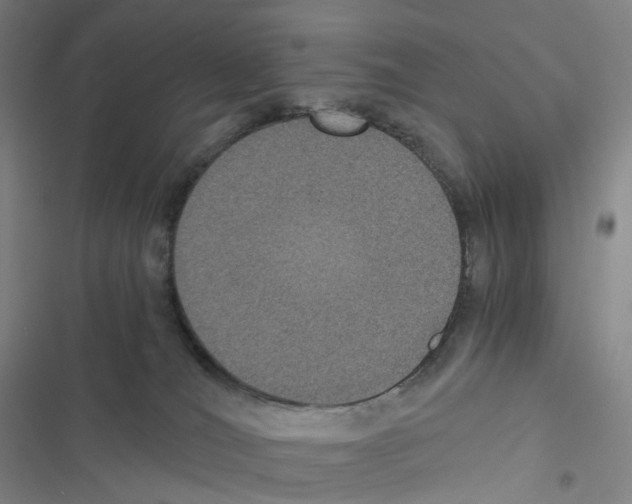 X0000116480036201001201351