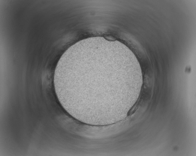 X0000116480037201001201351