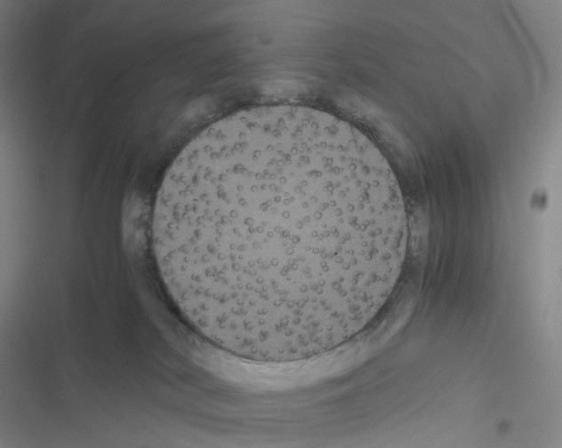 X0000116480038201001201351