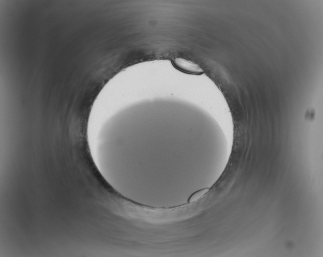 X0000116480039201001201351