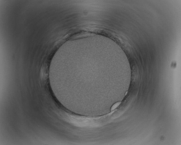 X0000116480040201001201351