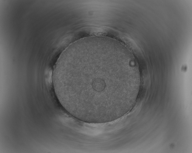 X0000116480041201001201351