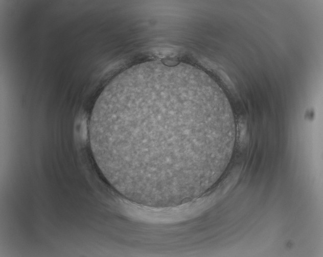 X0000116480042201001201351