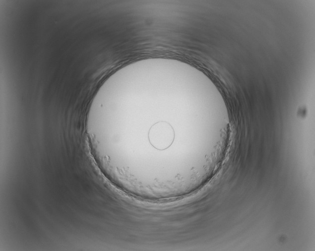 X0000116480043201001201351