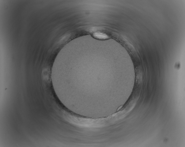 X0000116480044201001201351