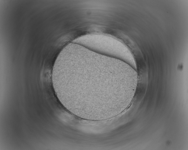 X0000116480045201001201351