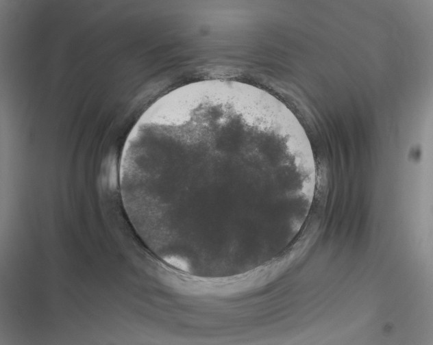X0000116480046201001201351