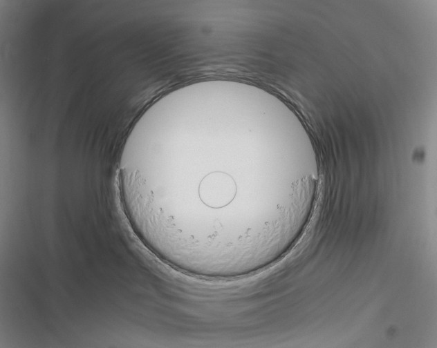 X0000116480047201001201351