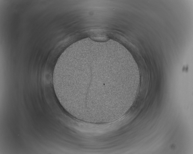 X0000116480048201001201351