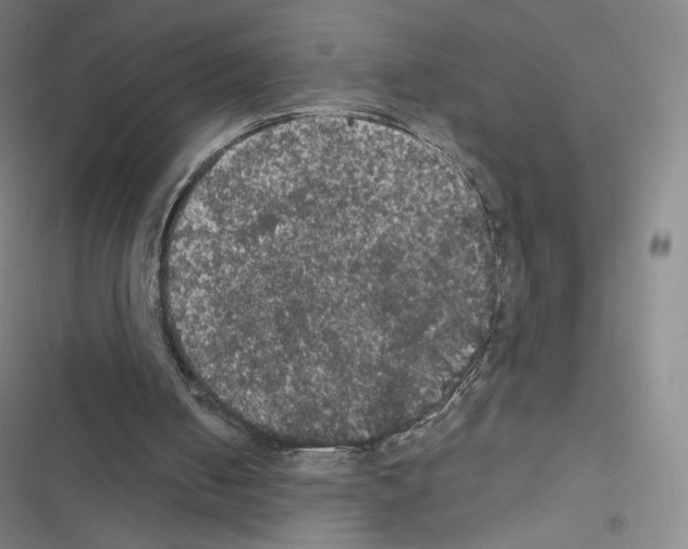 X0000116480050201001201351