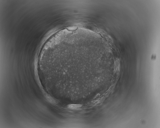 X0000116480051201001201351