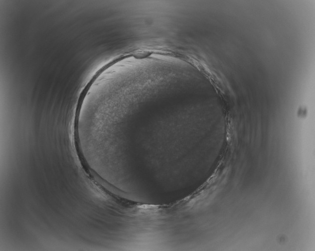 X0000116480052201001201351