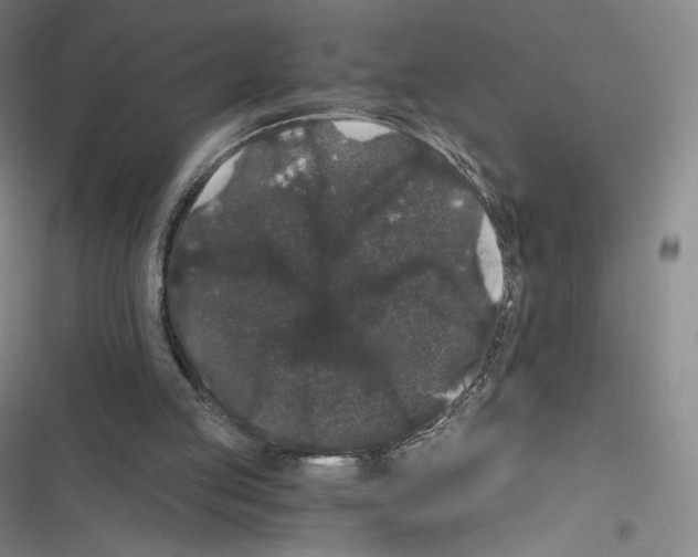 X0000116480053201001201351