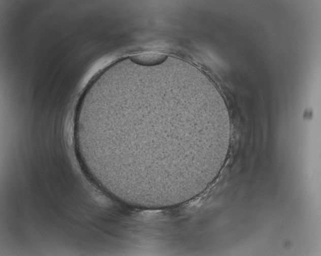 X0000116480054201001201351