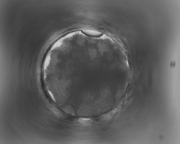 X0000116480055201001201351