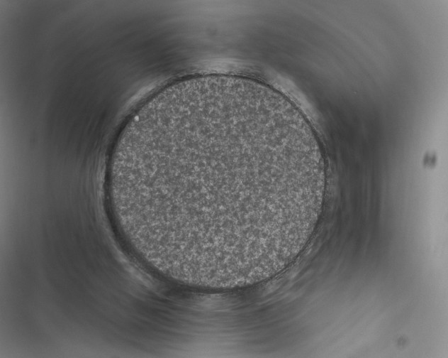 X0000116480058201001201351
