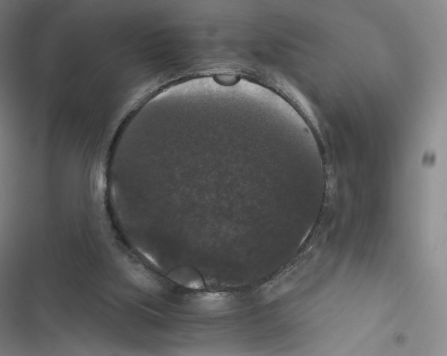 X0000116480059201001201351