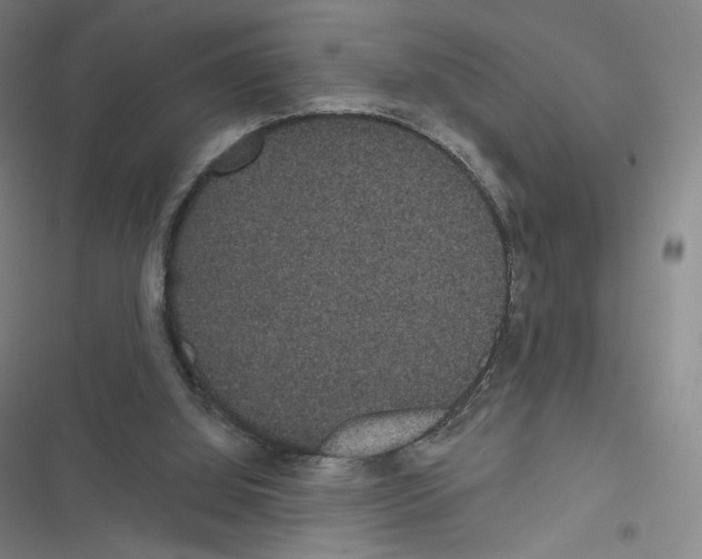 X0000116480060201001201351