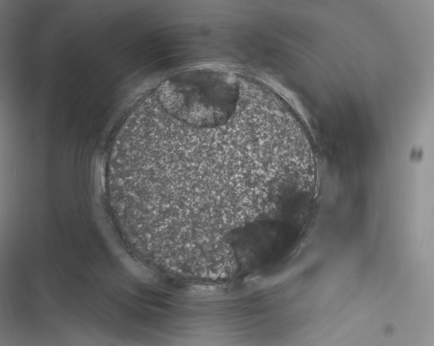 X0000116480061201001201351