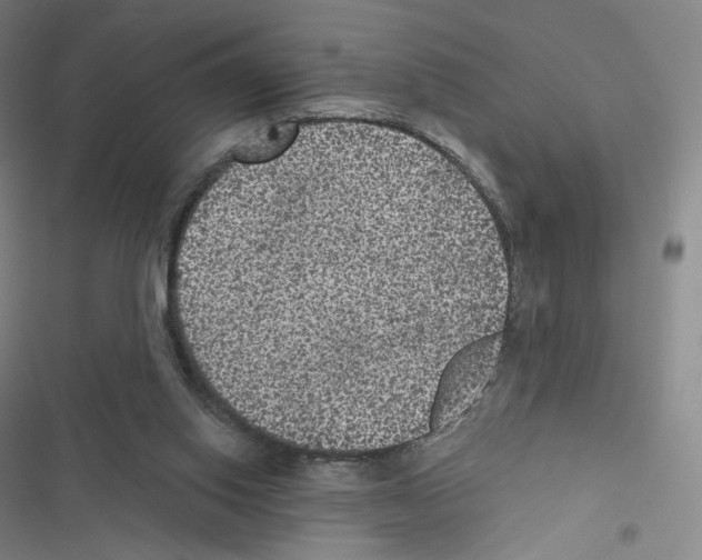 X0000116480062201001201351