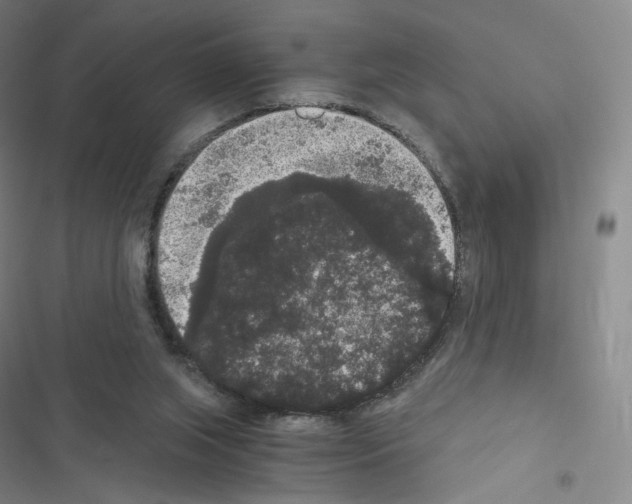X0000116480063201001201351