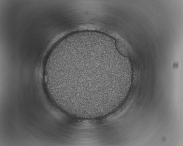 X0000116480064201001201351