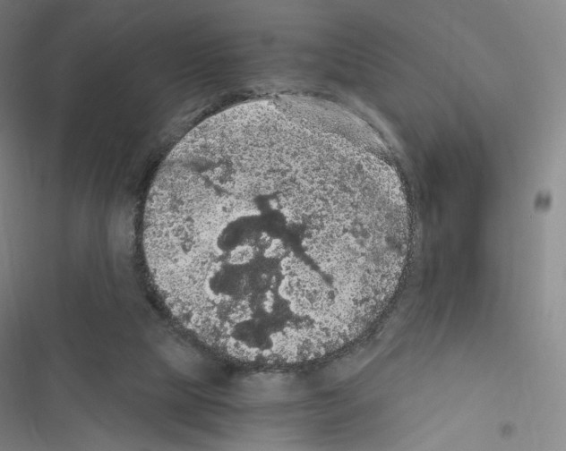 X0000116480065201001201351