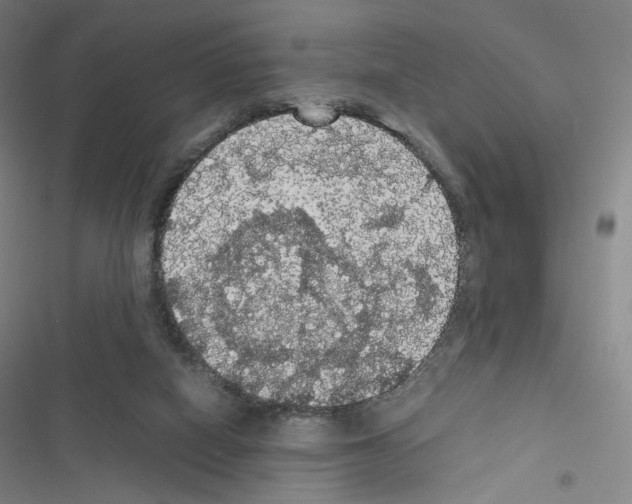 X0000116480066201001201351