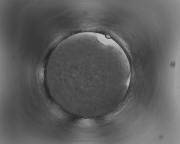 X0000116480067201001201351