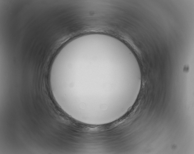 X0000116480068201001201351