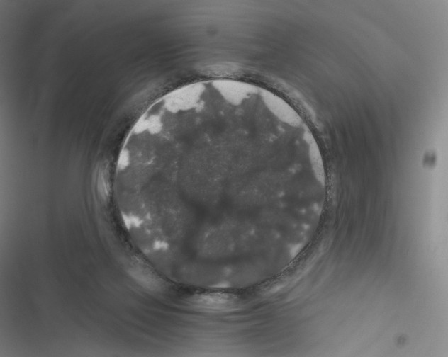 X0000116480069201001201351