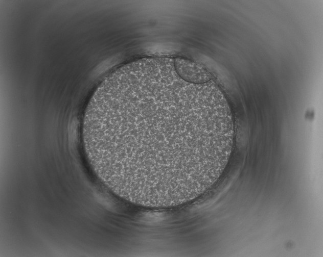 X0000116480071201001201351