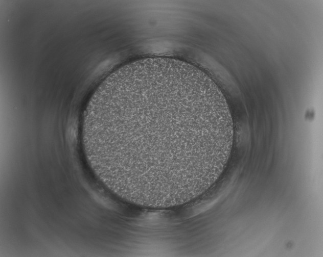 X0000116480072201001201351