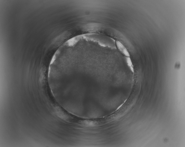 X0000116480073201001201351