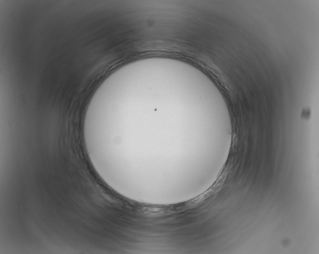 X0000116480074201001201351