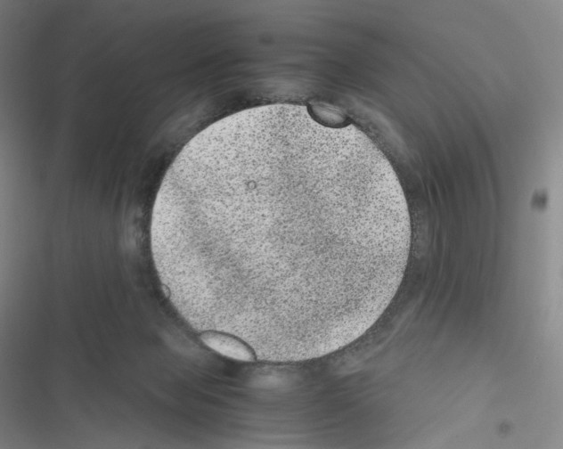 X0000116480077201001201351