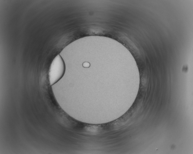 X0000116480079201001201351