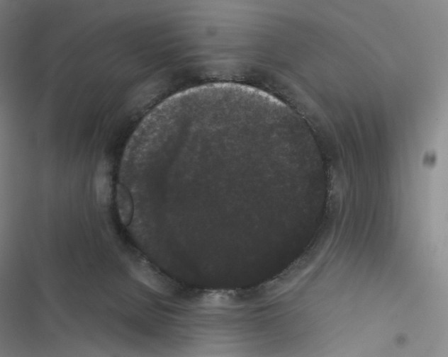 X0000116480080201001201351