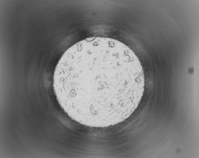 X0000116480081201001201351