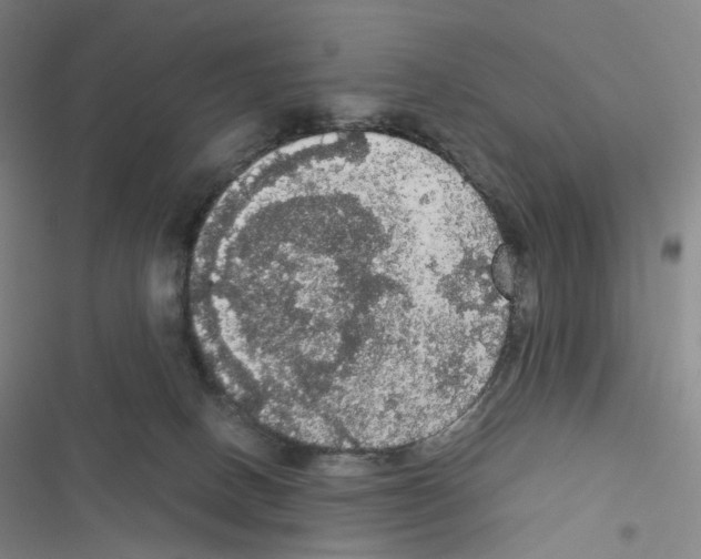 X0000116480082201001201351