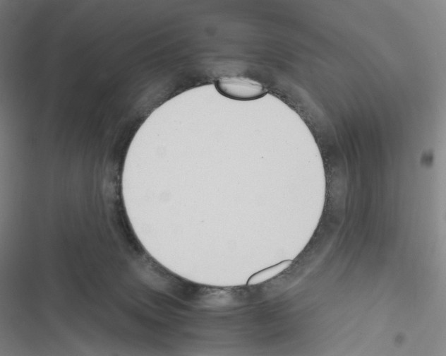 X0000116480083201001201351