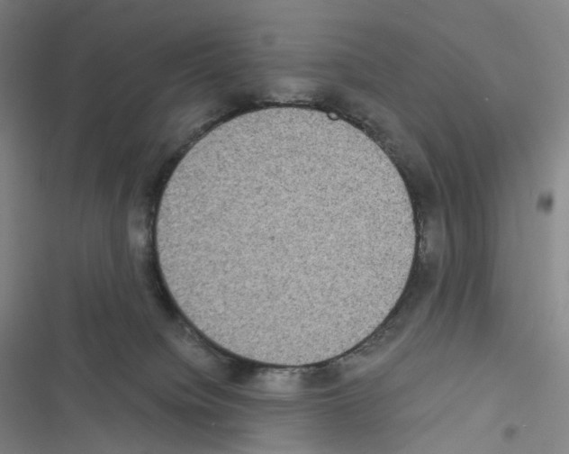 X0000116480084201001201351